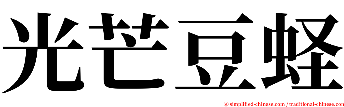 光芒豆蛏 serif font