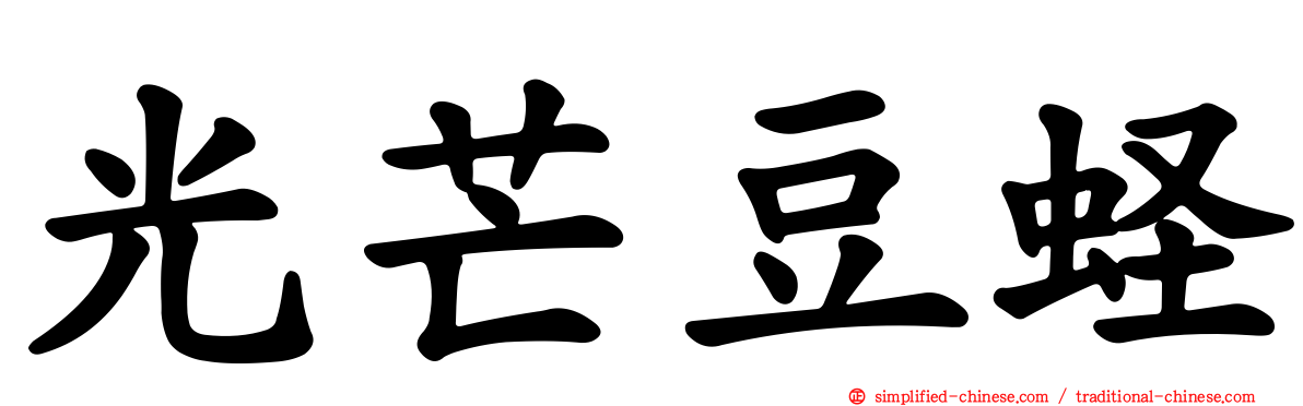 光芒豆蛏