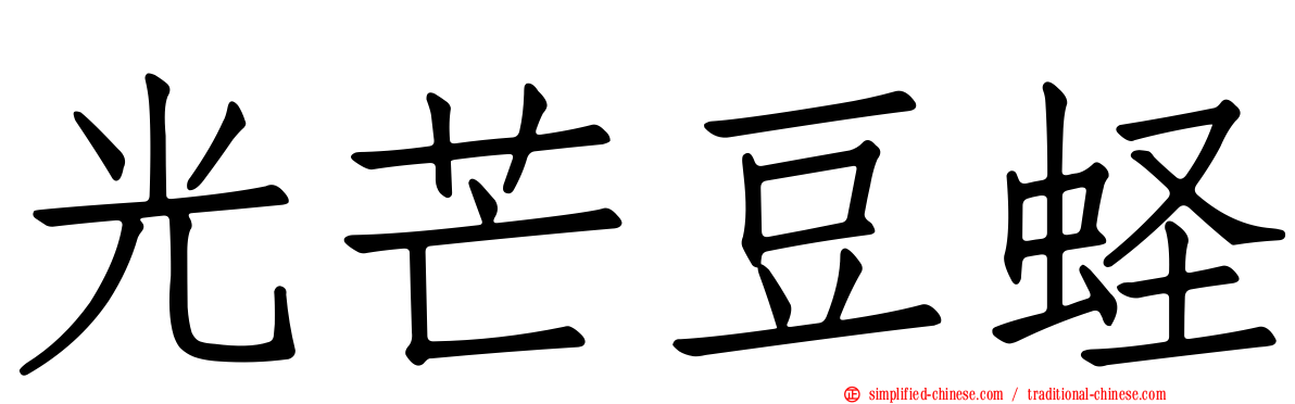 光芒豆蛏