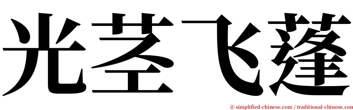 光茎飞蓬 serif font