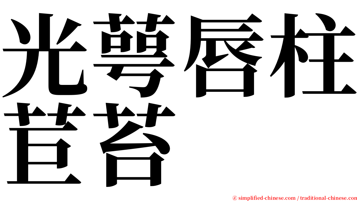 光萼唇柱苣苔 serif font
