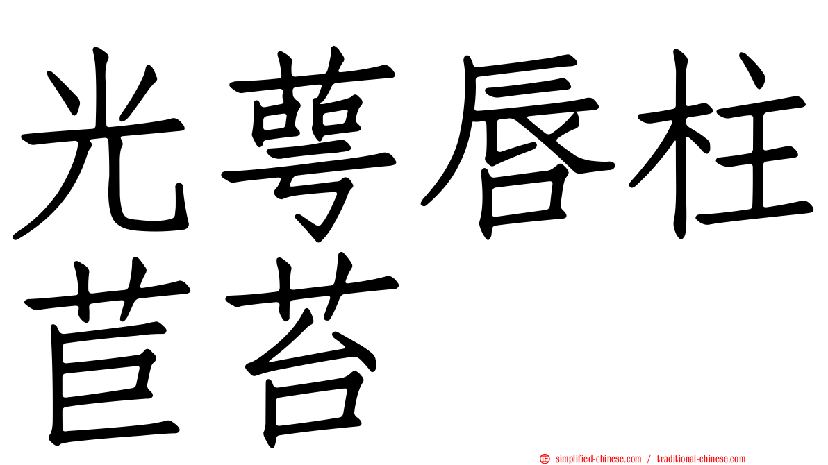 光萼唇柱苣苔