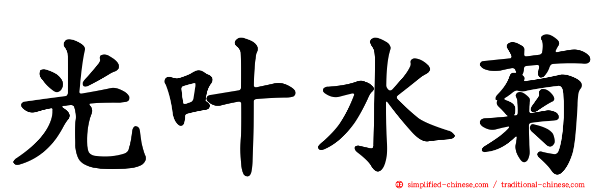 光叶水菊