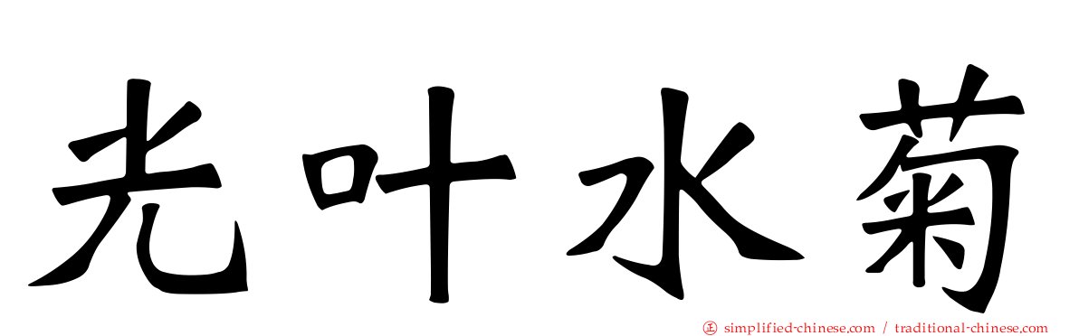 光叶水菊