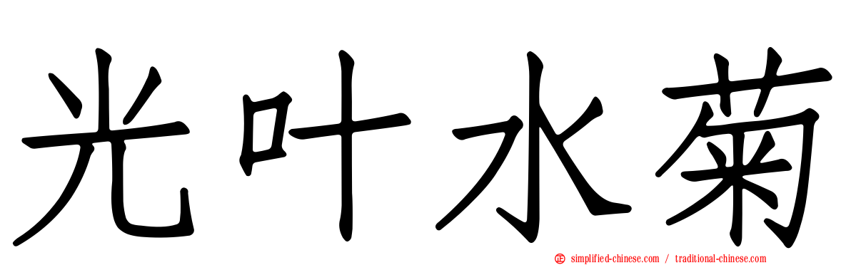 光叶水菊