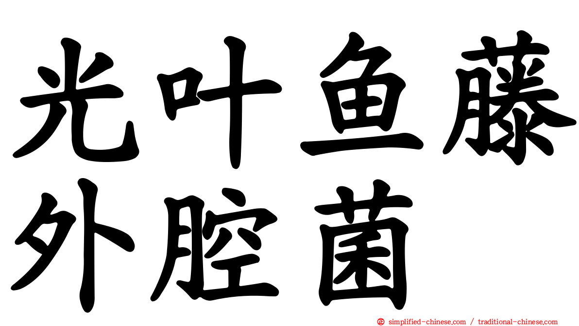 光叶鱼藤外腔菌