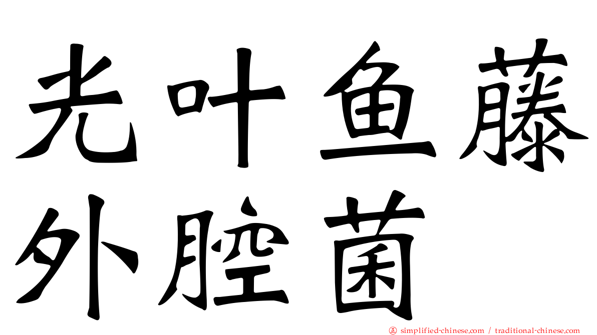 光叶鱼藤外腔菌