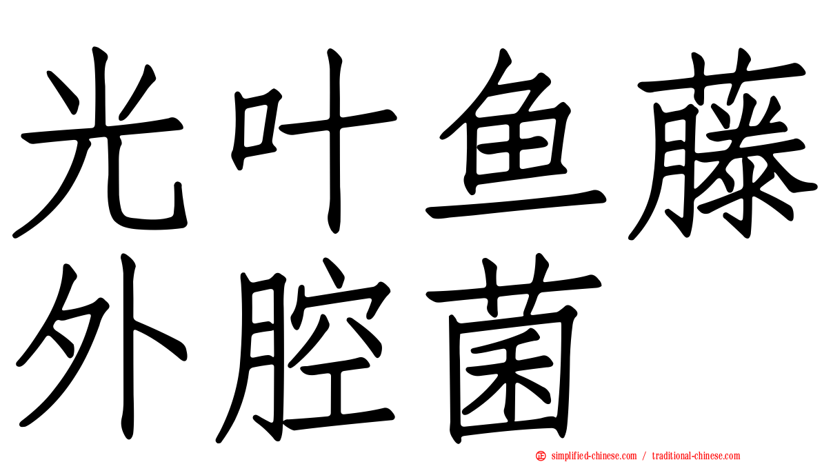 光叶鱼藤外腔菌