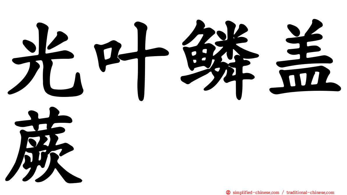 光叶鳞盖蕨