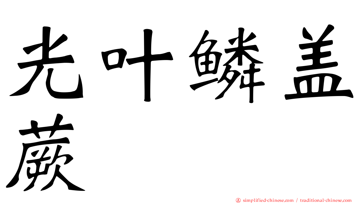 光叶鳞盖蕨