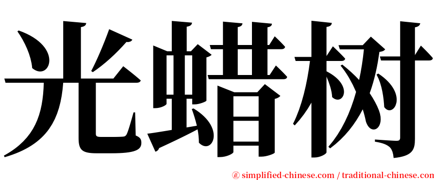 光蜡树 serif font