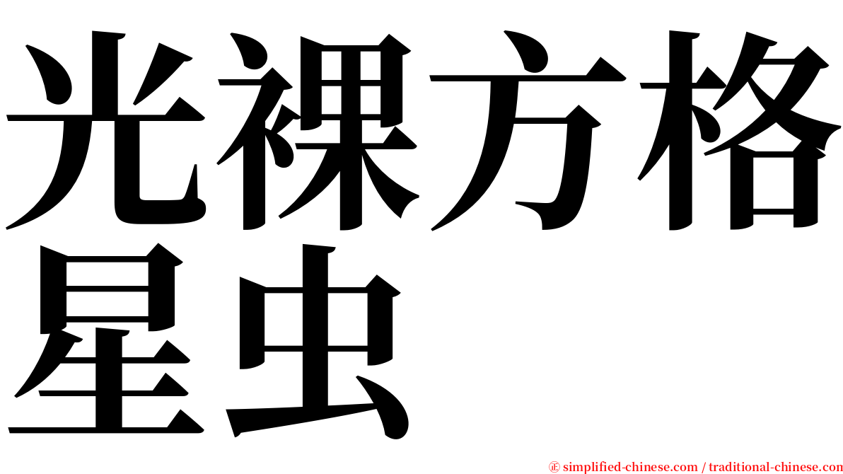 光裸方格星虫 serif font