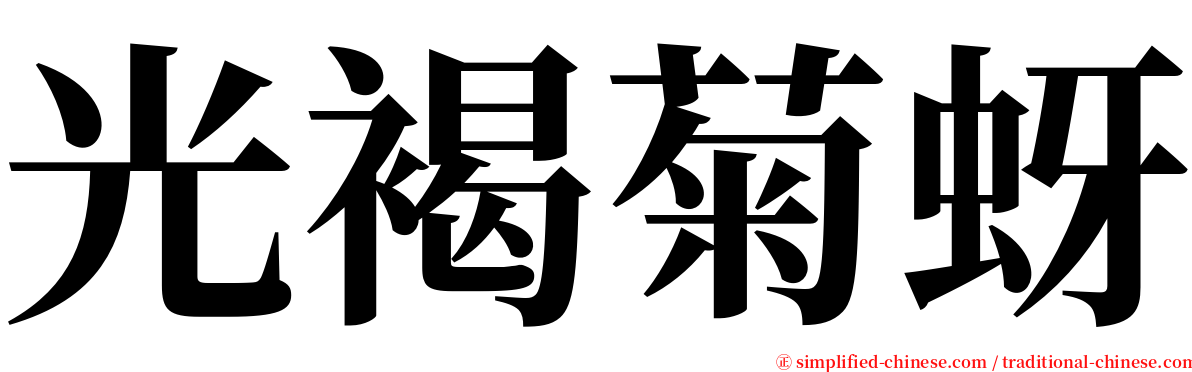 光褐菊蚜 serif font