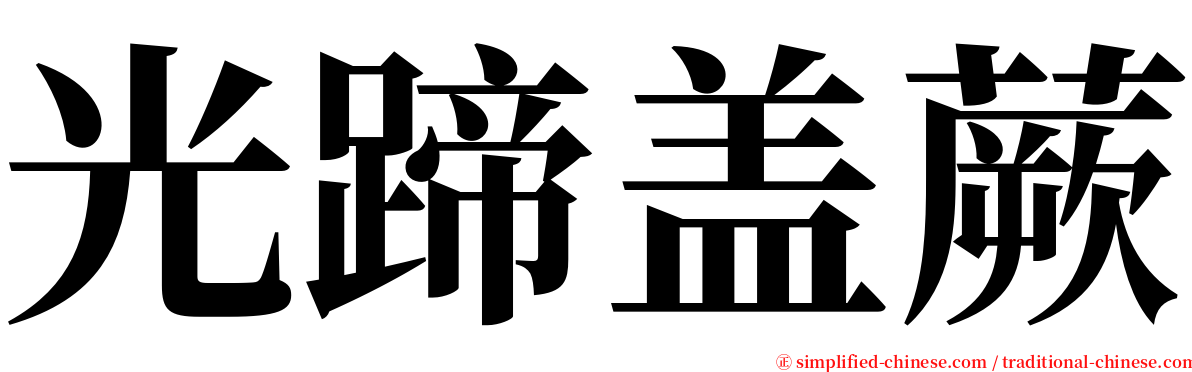 光蹄盖蕨 serif font