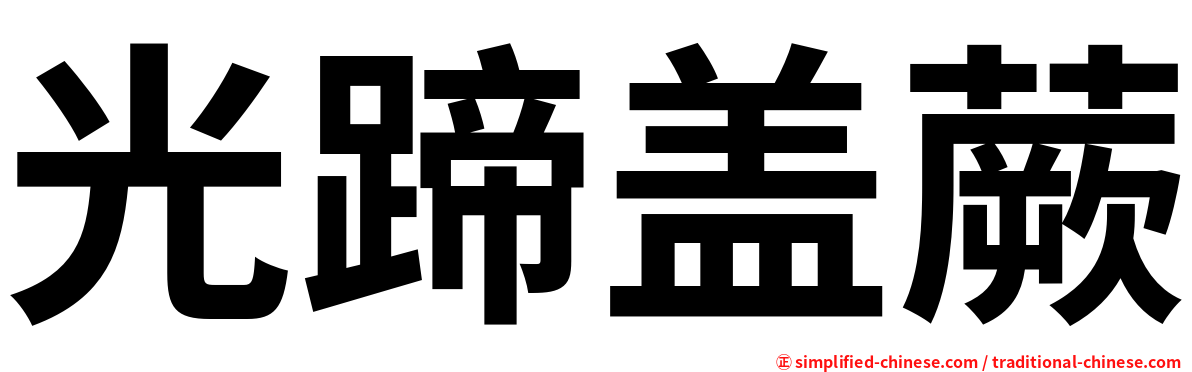 光蹄盖蕨