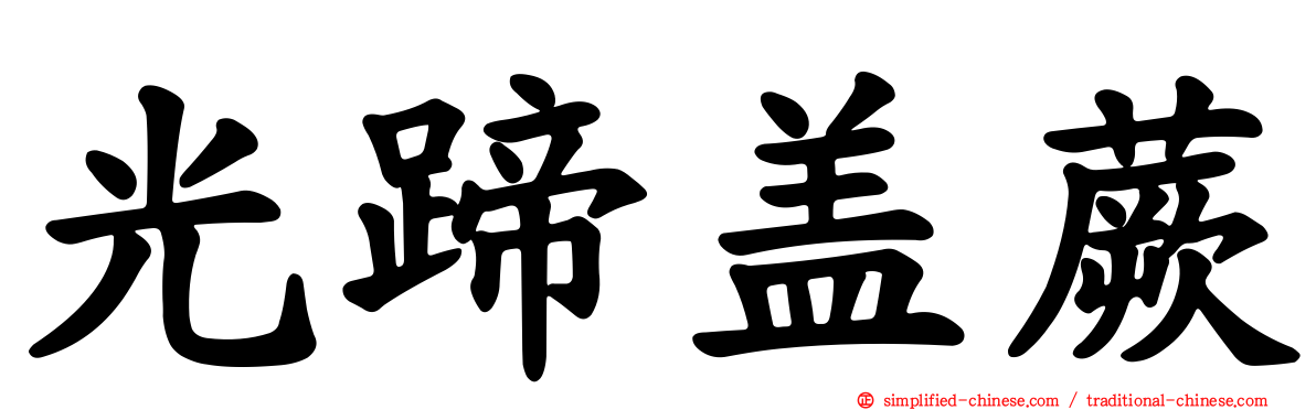 光蹄盖蕨