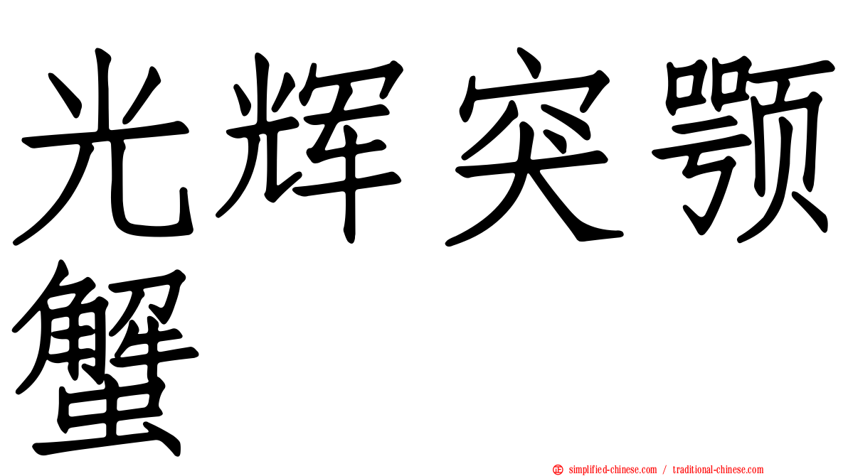 光辉突颚蟹
