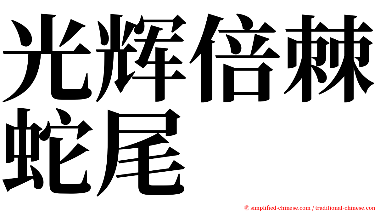 光辉倍棘蛇尾 serif font