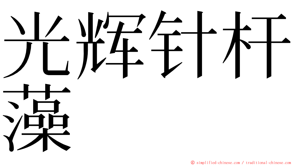 光辉针杆藻 ming font