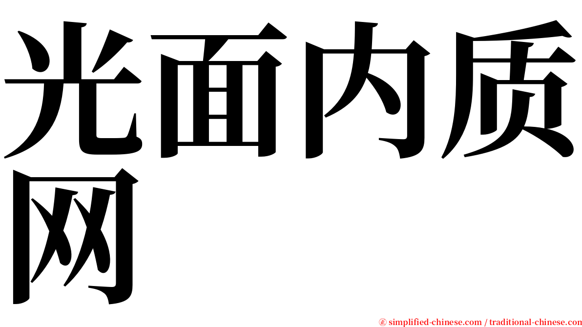 光面内质网 serif font