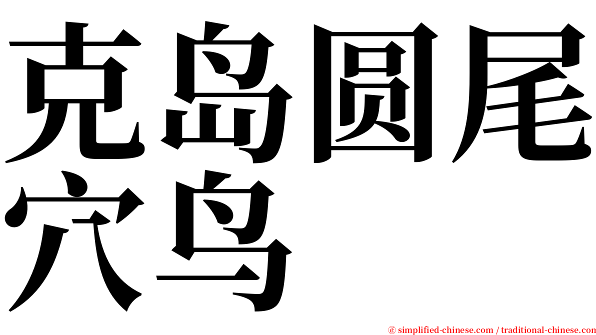 克岛圆尾穴鸟 serif font