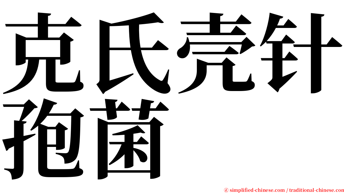 克氏壳针孢菌 serif font