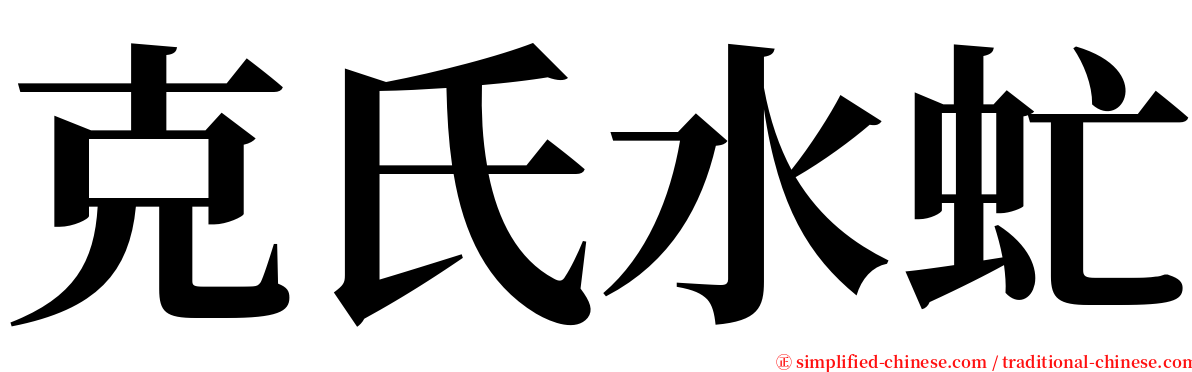 克氏水虻 serif font