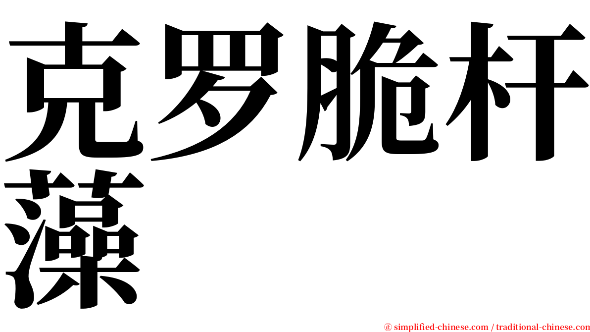 克罗脆杆藻 serif font