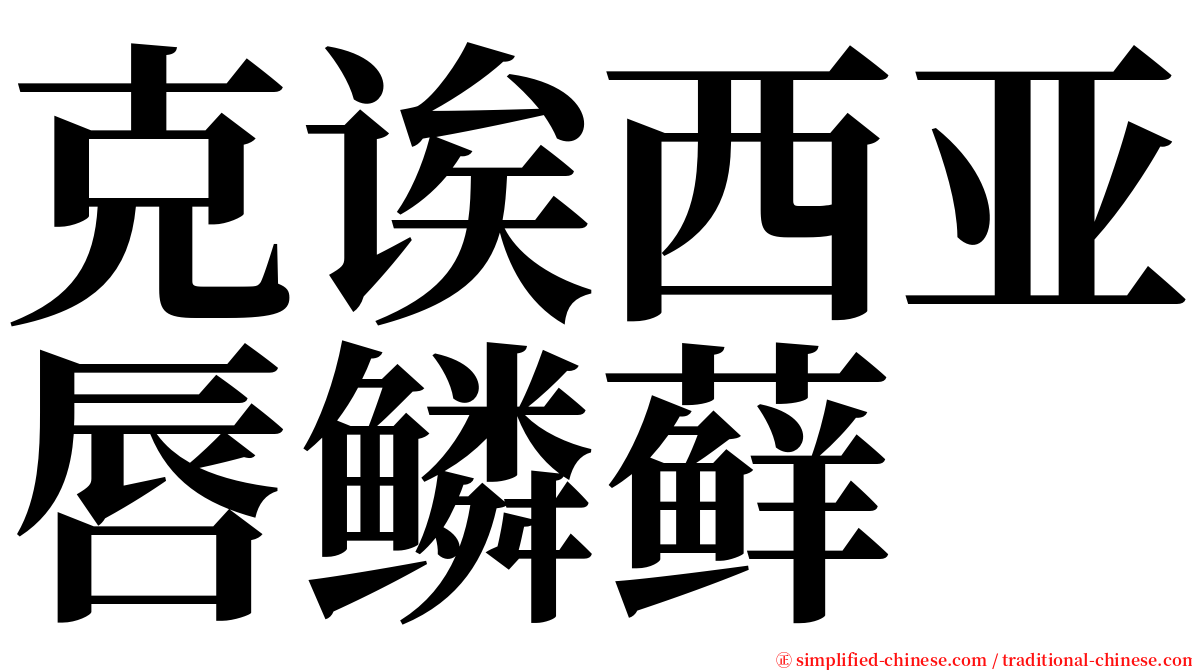 克诶西亚唇鳞藓 serif font