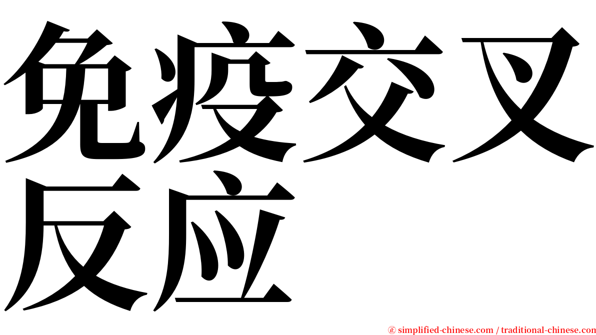 免疫交叉反应 serif font