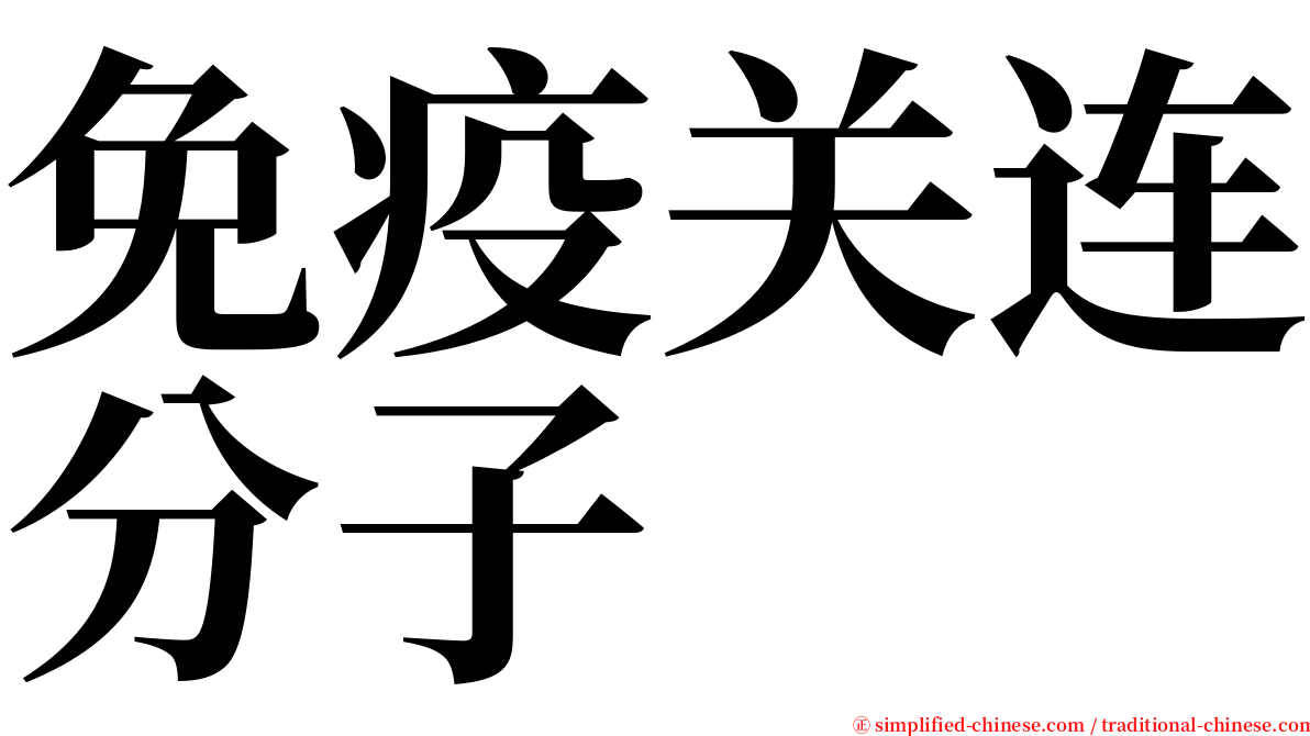 免疫关连分子 serif font