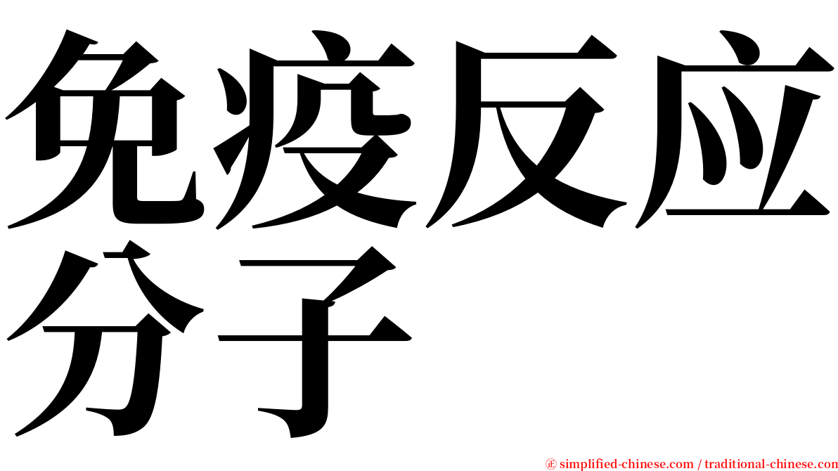 免疫反应分子 serif font