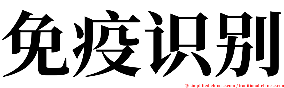 免疫识别 serif font