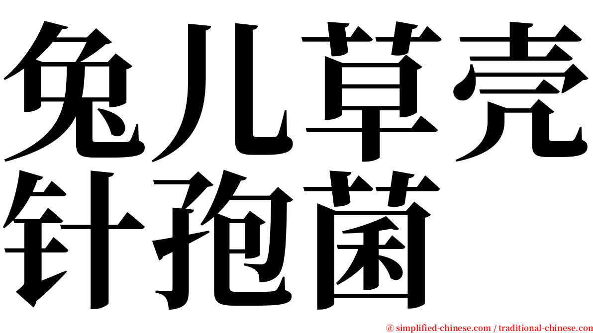 兔儿草壳针孢菌 serif font