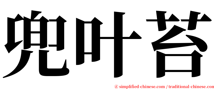 兜叶苔 serif font