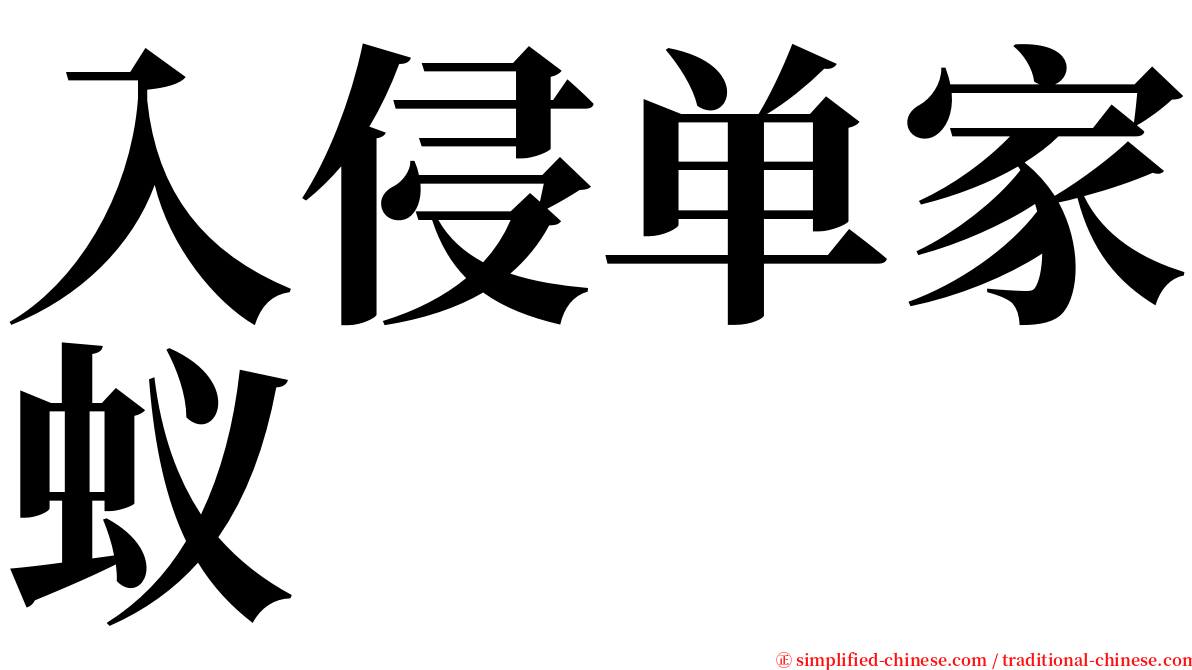 入侵单家蚁 serif font