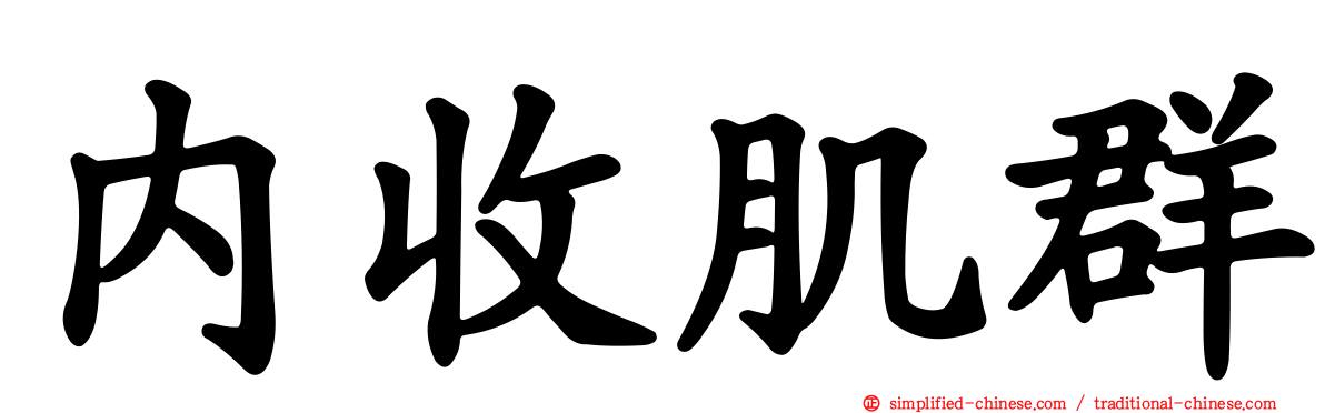 内收肌群