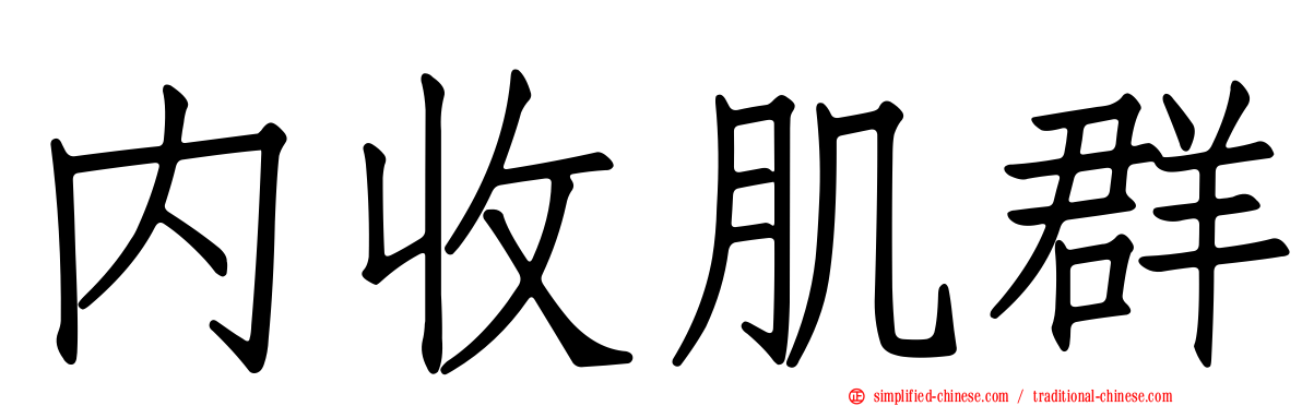 内收肌群