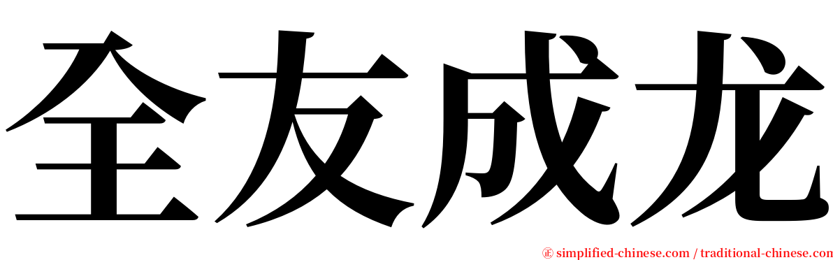 全友成龙 serif font