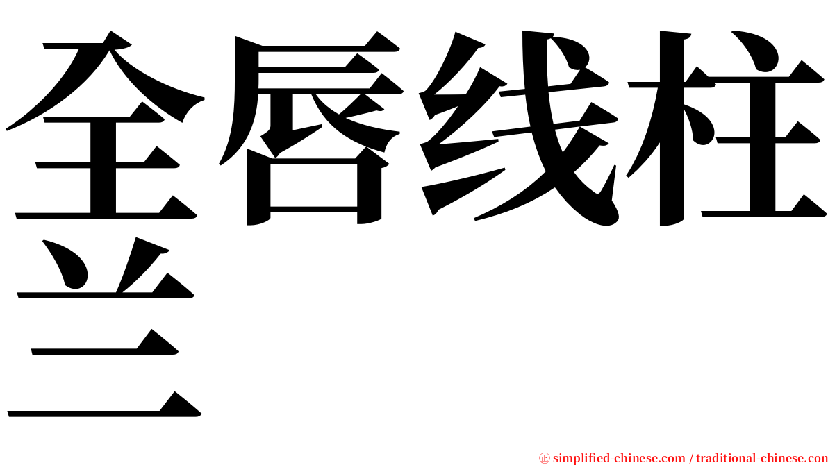 全唇线柱兰 serif font