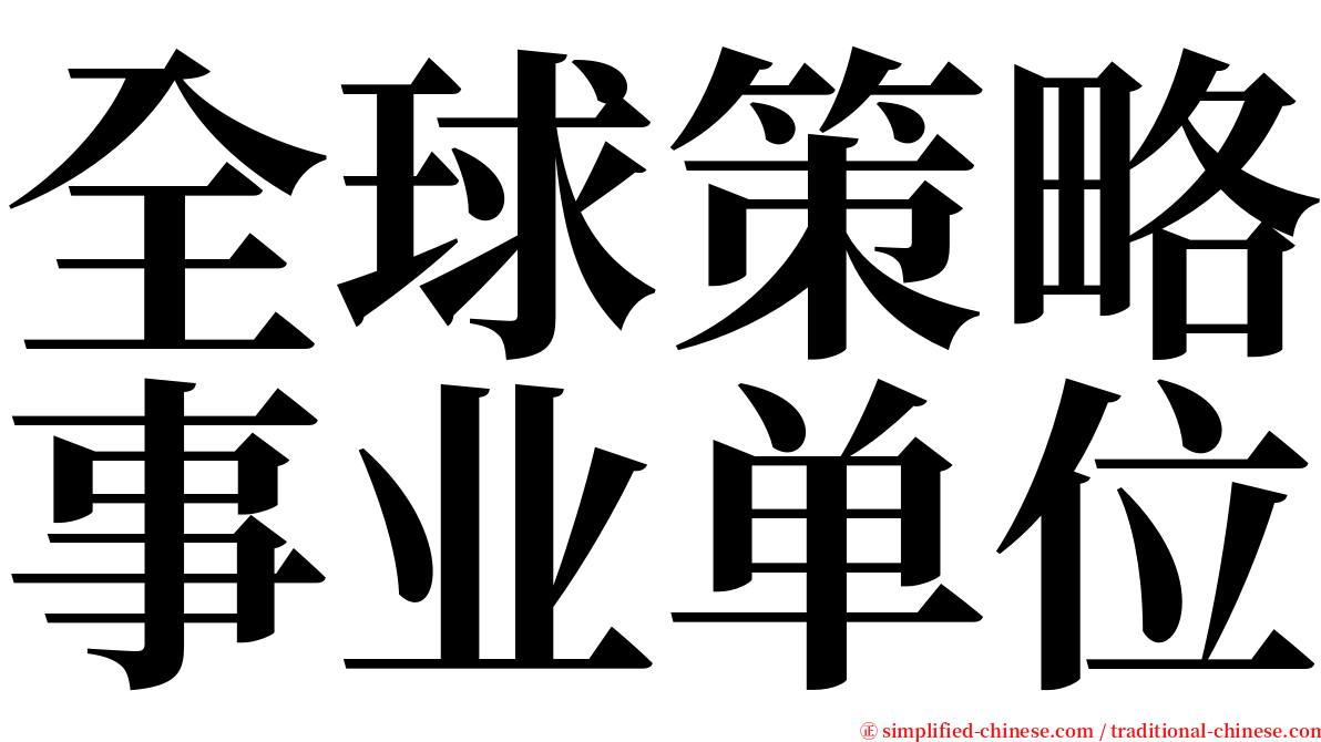 全球策略事业单位 serif font