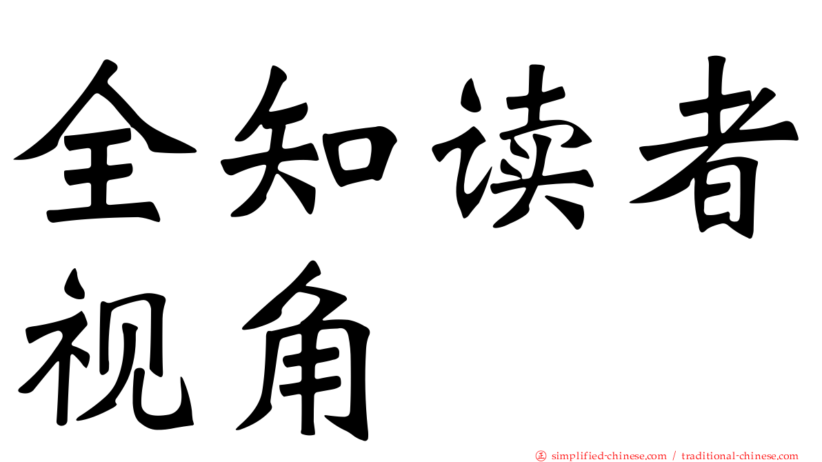 全知读者视角