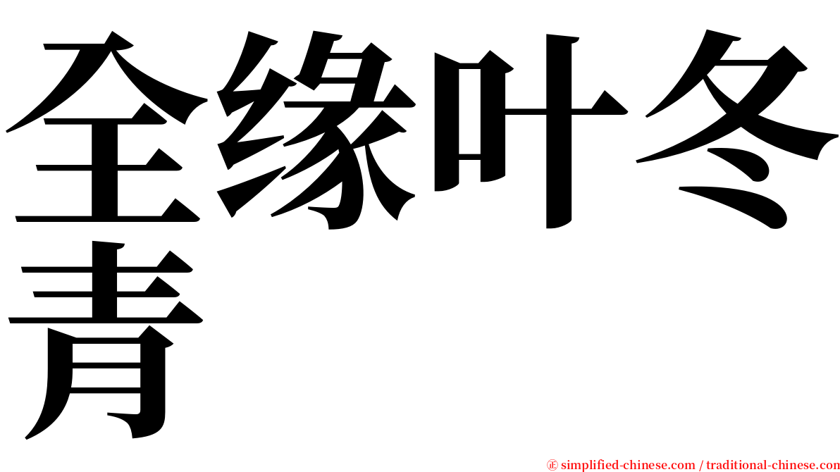 全缘叶冬青 serif font