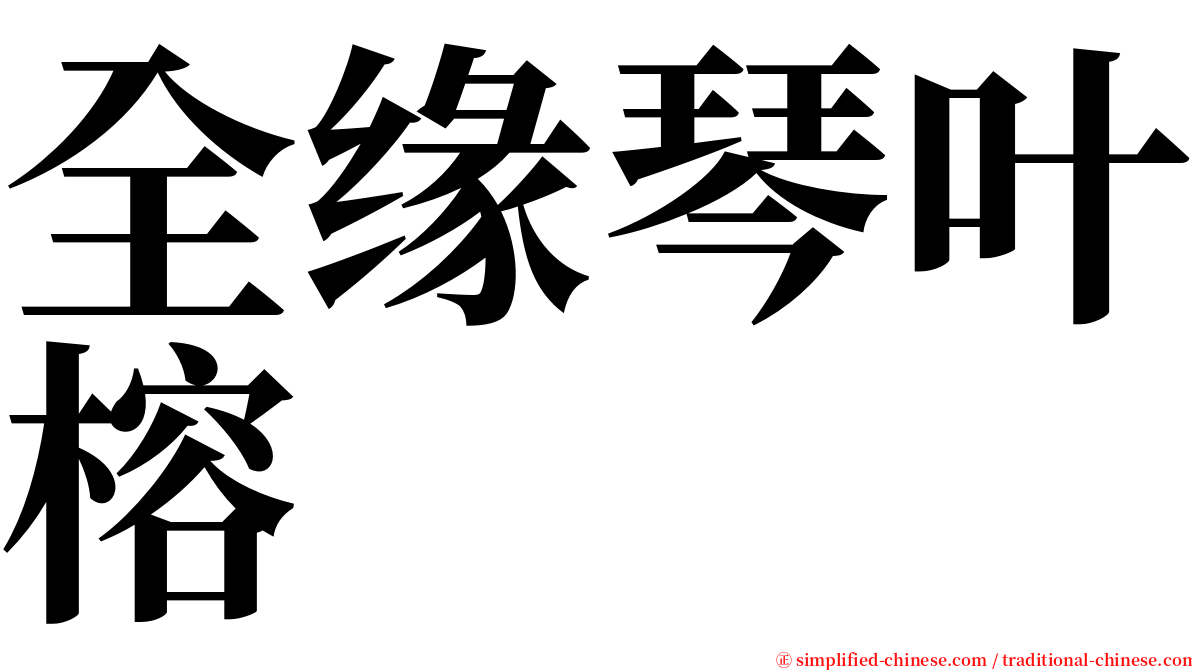 全缘琴叶榕 serif font