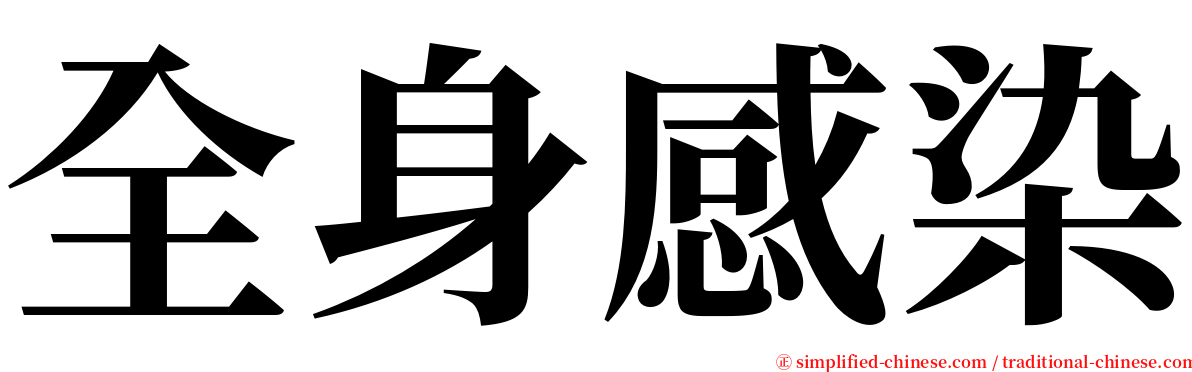 全身感染 serif font