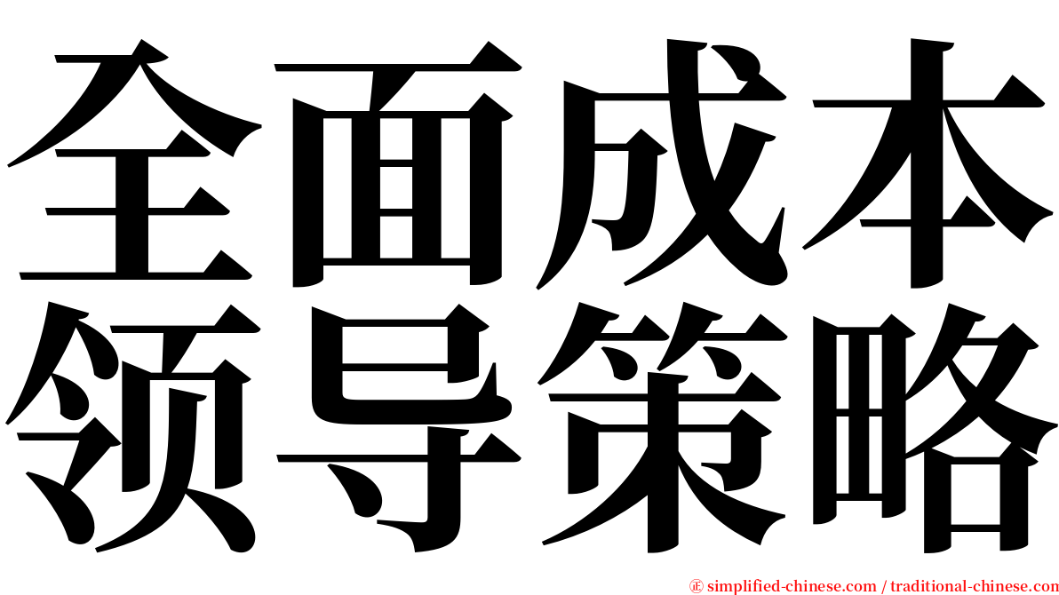 全面成本领导策略 serif font