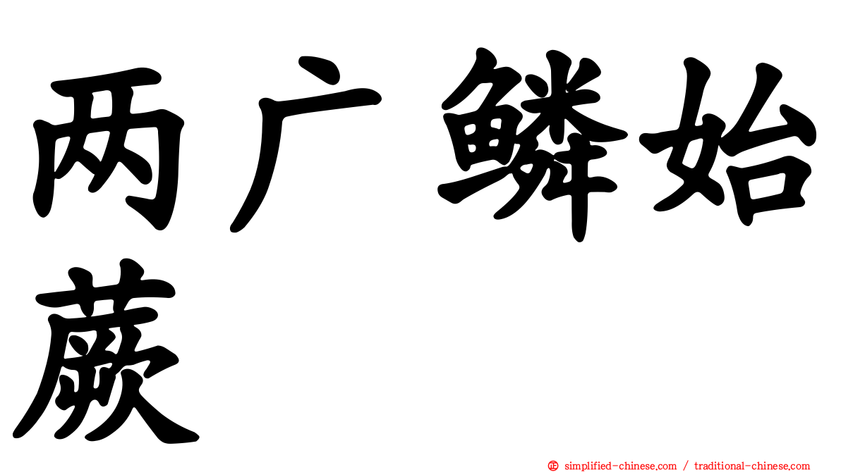 两广鳞始蕨