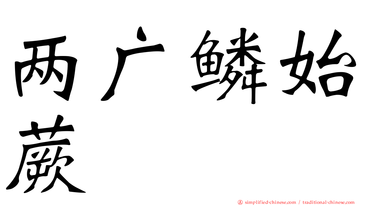 两广鳞始蕨