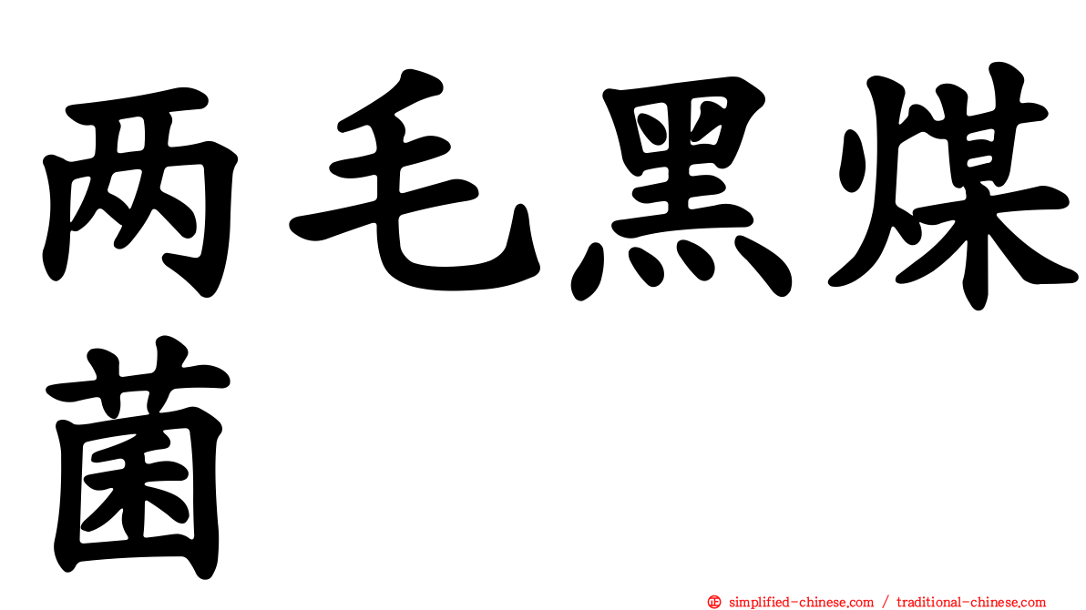 两毛黑煤菌