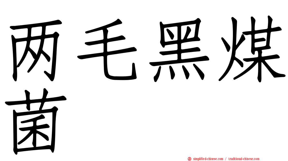 两毛黑煤菌